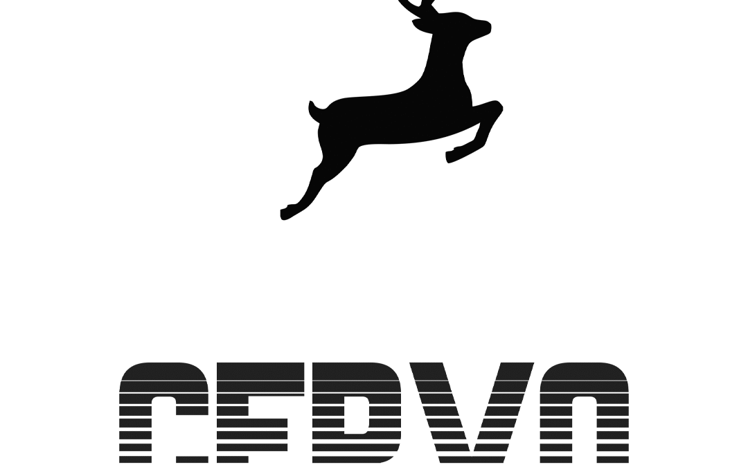 Cervo